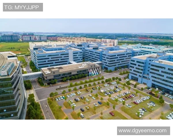 武汉篮球队的崛起与发展探讨:意识形态对球队表现的影响分析